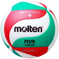 Molten Volleyball "V5M5000"