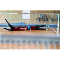 WV Goalball Goalball -Derbymika Verkaufe 109 9108 2